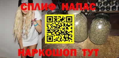 бошки Тверь