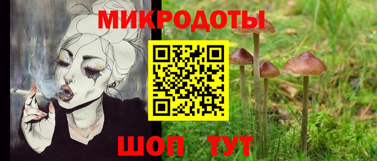 сколько стоит  Вход с VPN  Нижнеудинск  Псилоцибиновые грибы мухоморы  Псилоцибиновые грибы Psilocybe 
